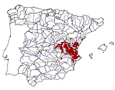 Luciobarbus (Barbus) guiraonis_mapa.jpg